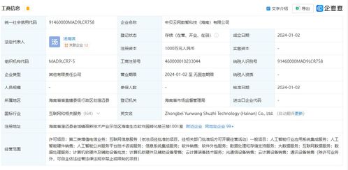 中貝通信在海南成立數智科技公司，拓展AI業務與信息系統集成服務