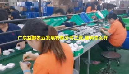 廣東益野農業 領航畜牧漁業飼料銷售，助推現代農牧業發展